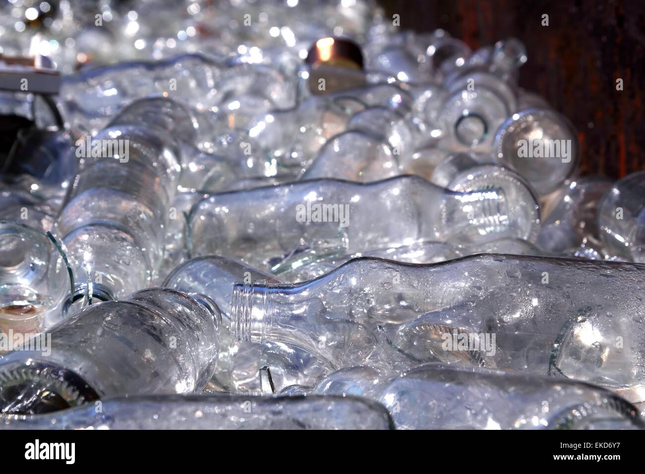 ecological recycling glass bottles in container Stock Photo - Alamy