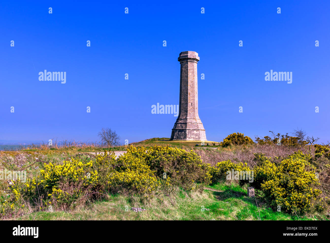 Vice Admiral Hardys monument in Dorset Stock Photo