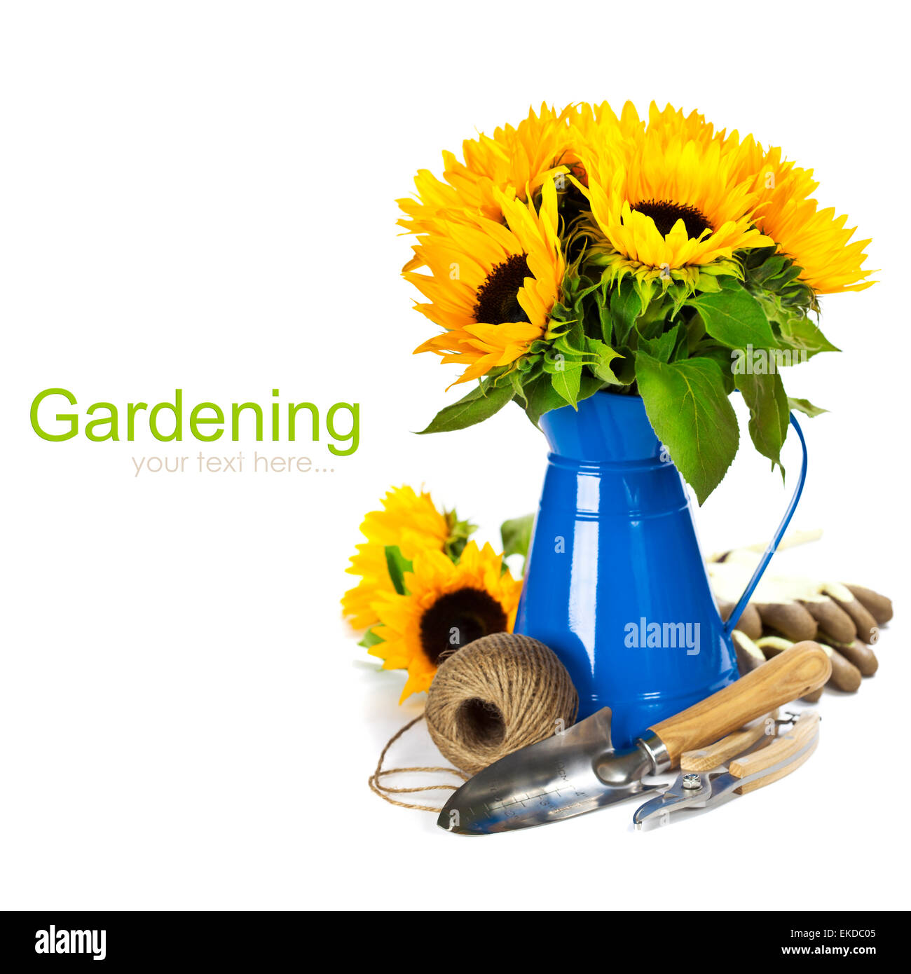 Sunflowers and garden tools Stock Photo - Alamy
