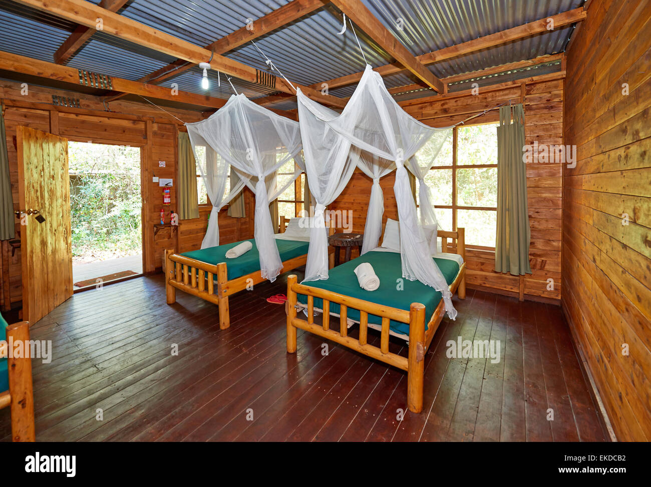 room of Budongo Eco Lodge, Murchison Falls National Park, Uganda, Africa Stock Photo
