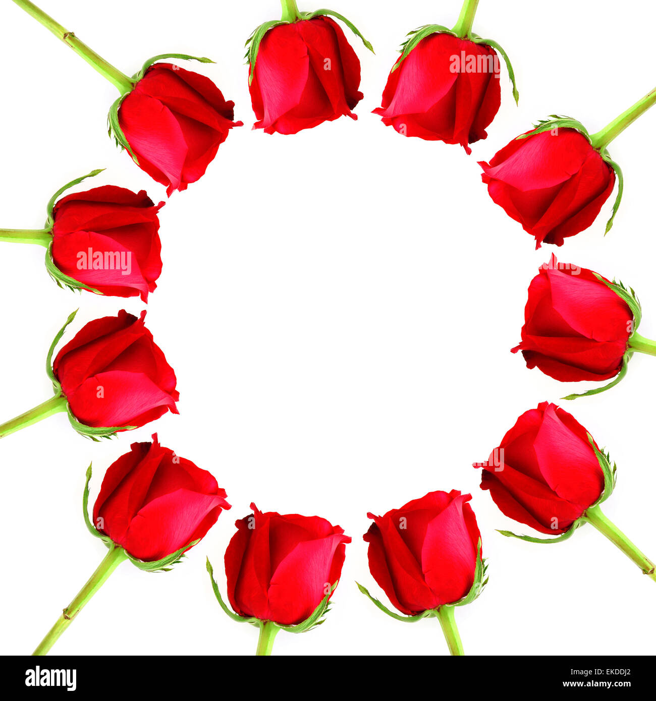Roze Raund Red Rose frame as circle on white background Stock Photo - Alamy