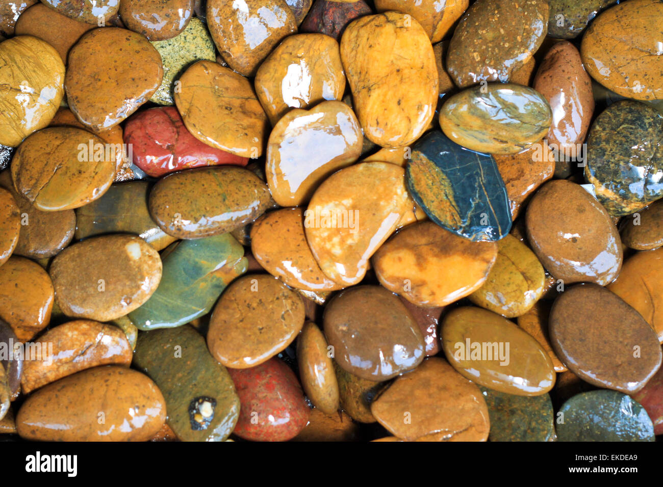 Wet rock texture Stock Photo