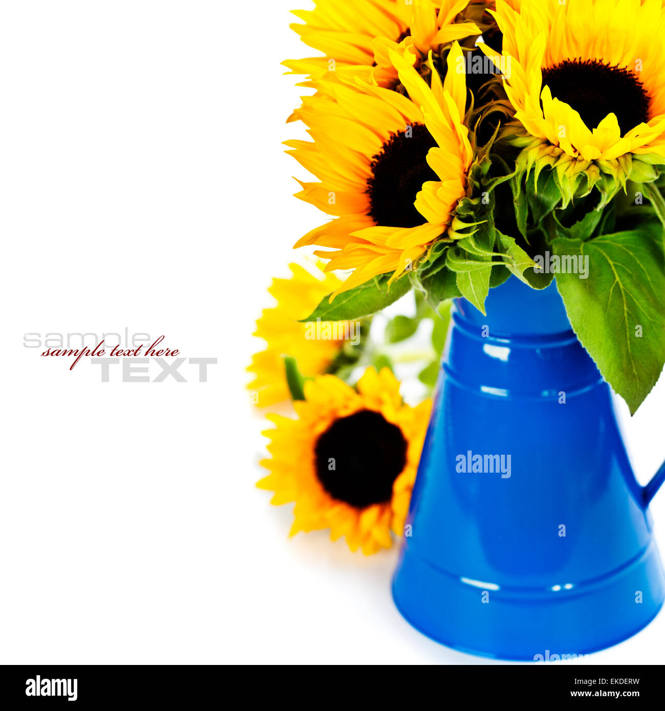 Sunflowers in a blue vase Stock Photo - Alamy