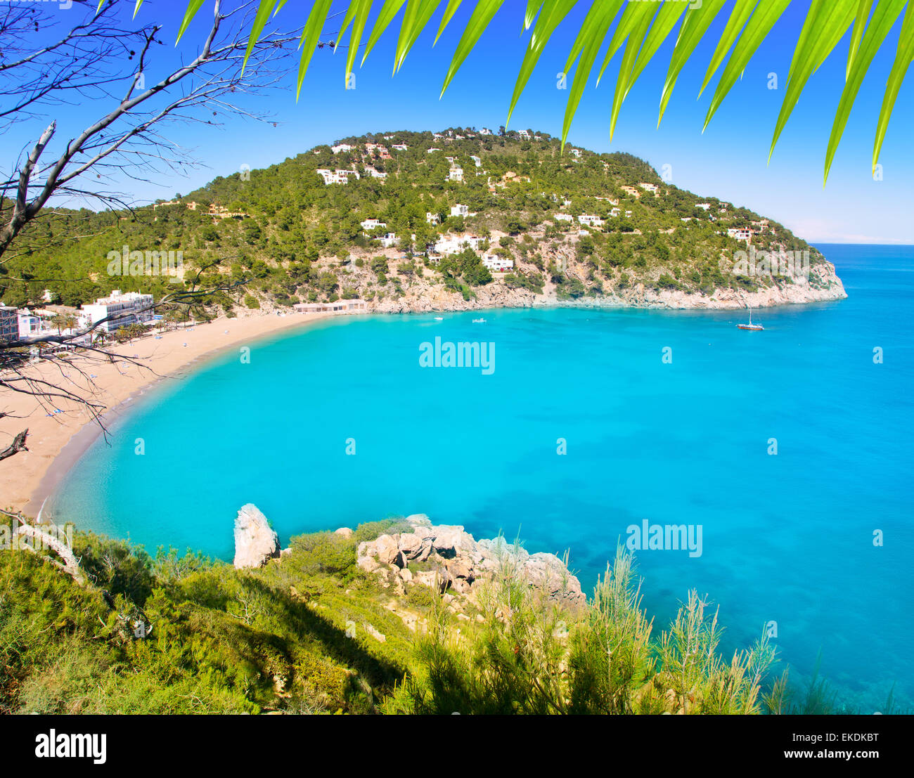 Aerial view of Caleta de Sant Vicent in Ibiza island Stock Photo - Alamy