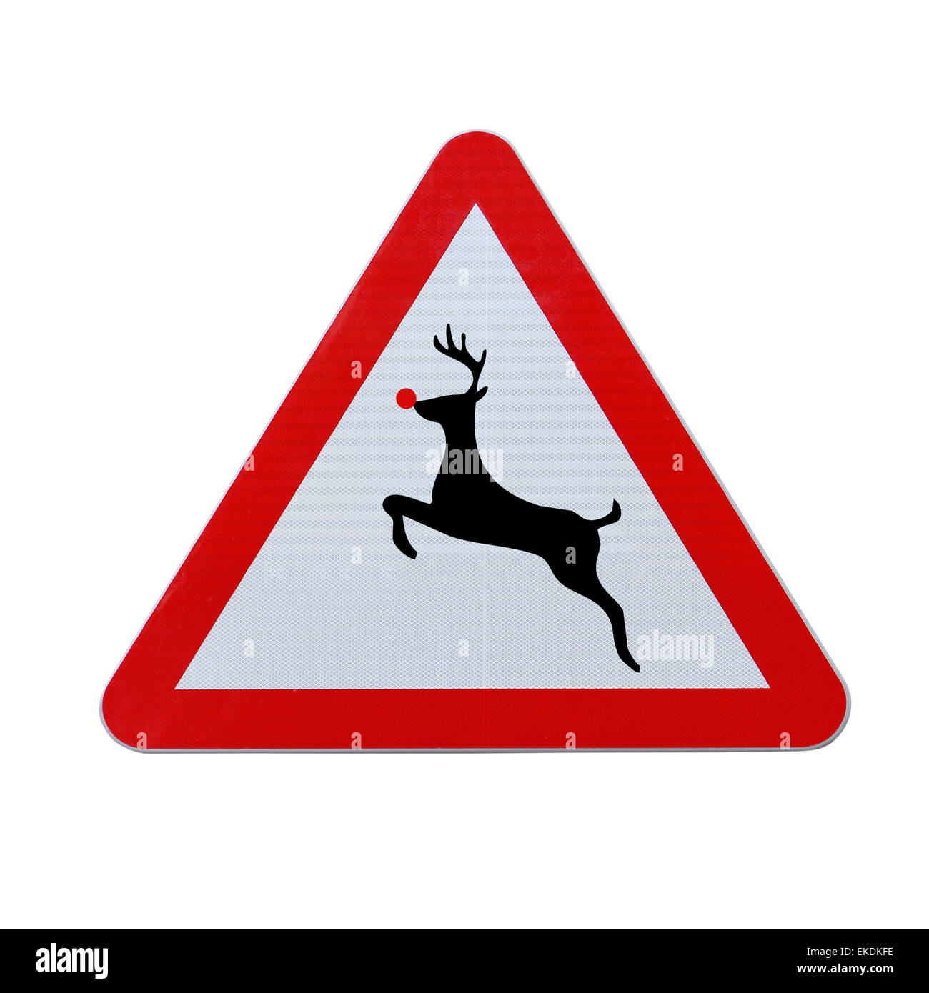 Christmas Reindeer Crossing Stock Photo - Alamy