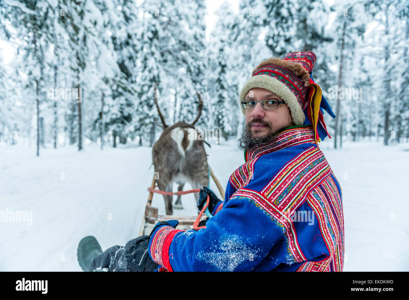 Reindeer sleigh ride. Levi. Finland. Lapland. Scandinavia Stock Photo