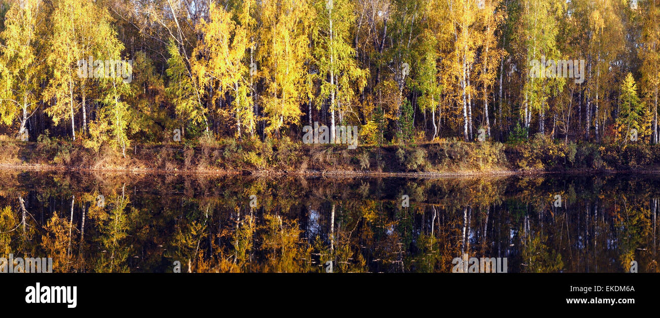Autumn leaves in waters hi-res stock photography and images - Alamy
