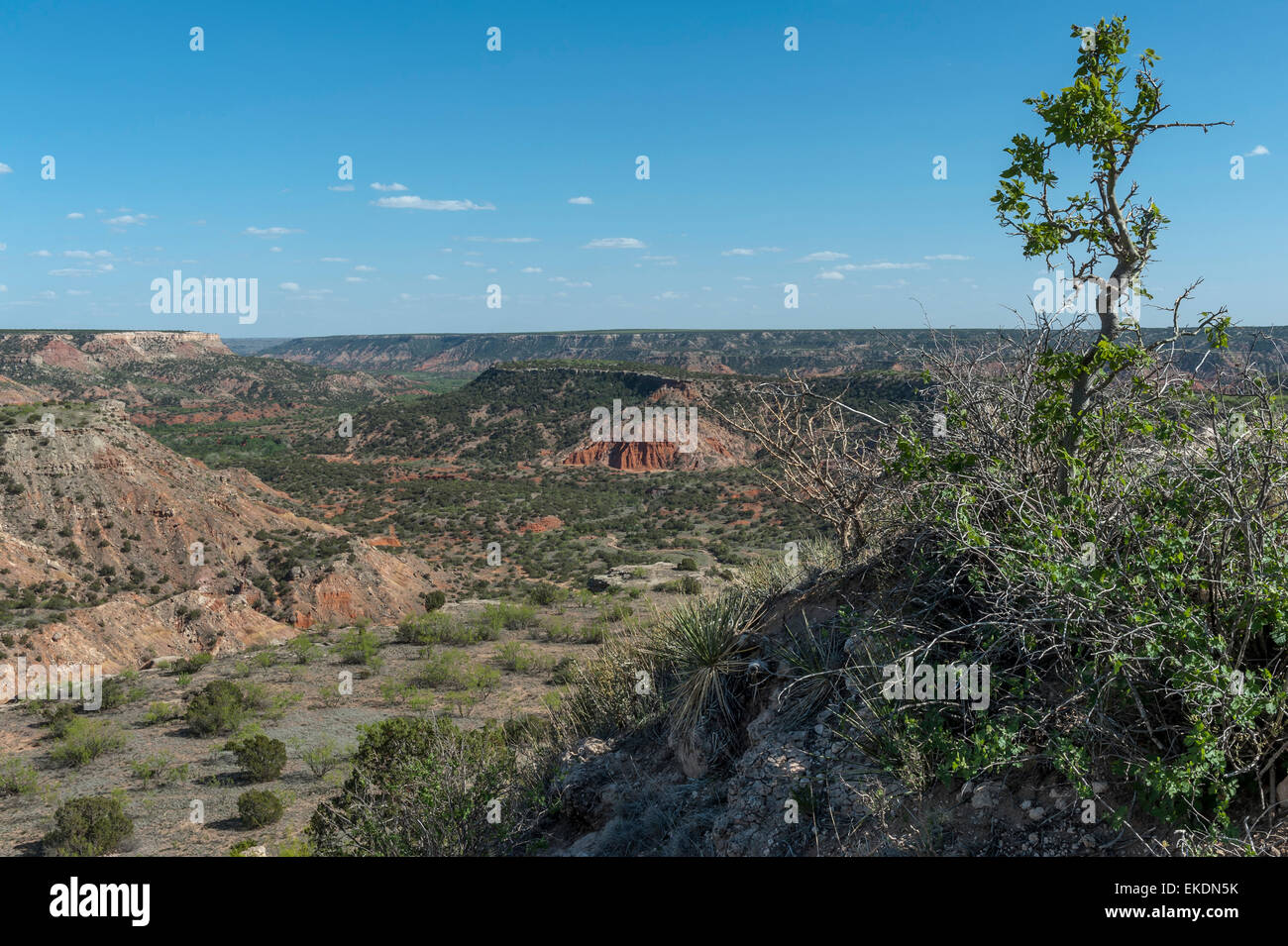 Palo Duro Canyon. Near Amarillo. Texas Panhandle. USA Stock Photo Alamy