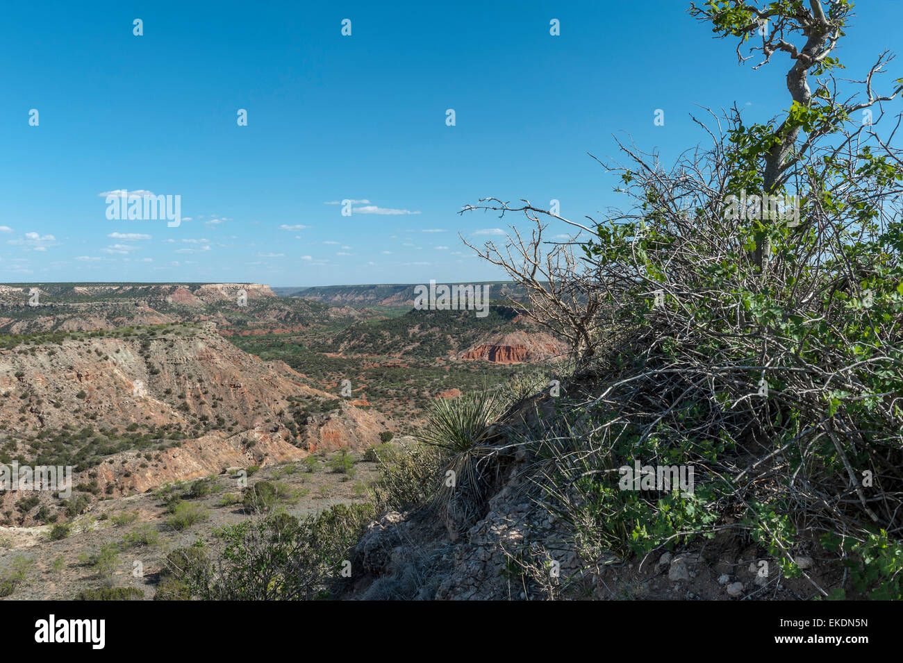Palo Duro Canyon. Near Amarillo. Texas Panhandle. USA Stock Photo Alamy