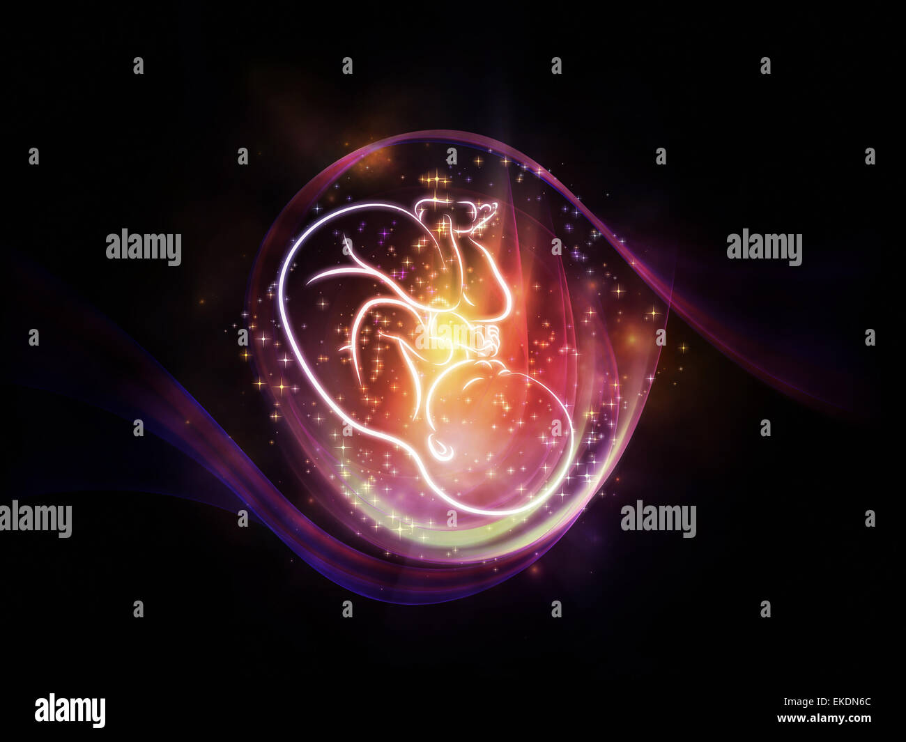 Fetal position in womb illustration hi-res stock photography and images ...