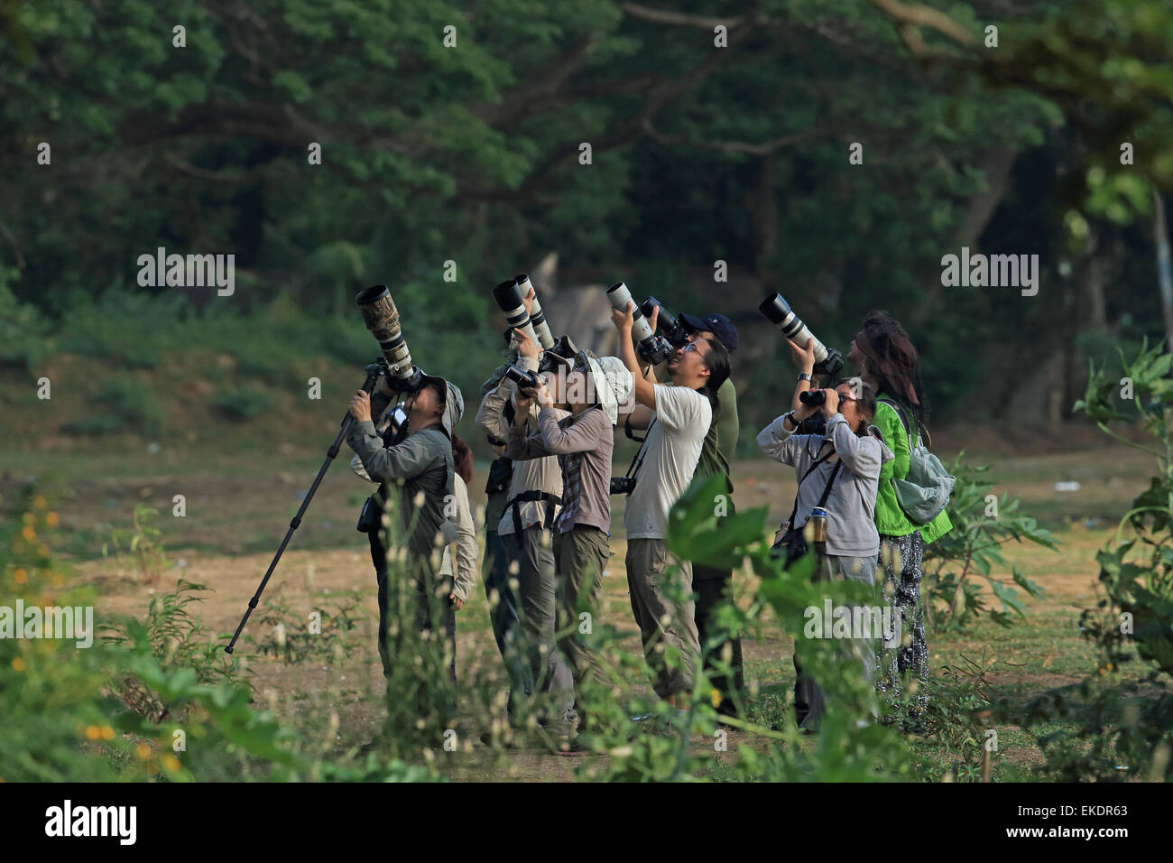 Wildlife photographers lenses hi-res stock photography and images - Alamy