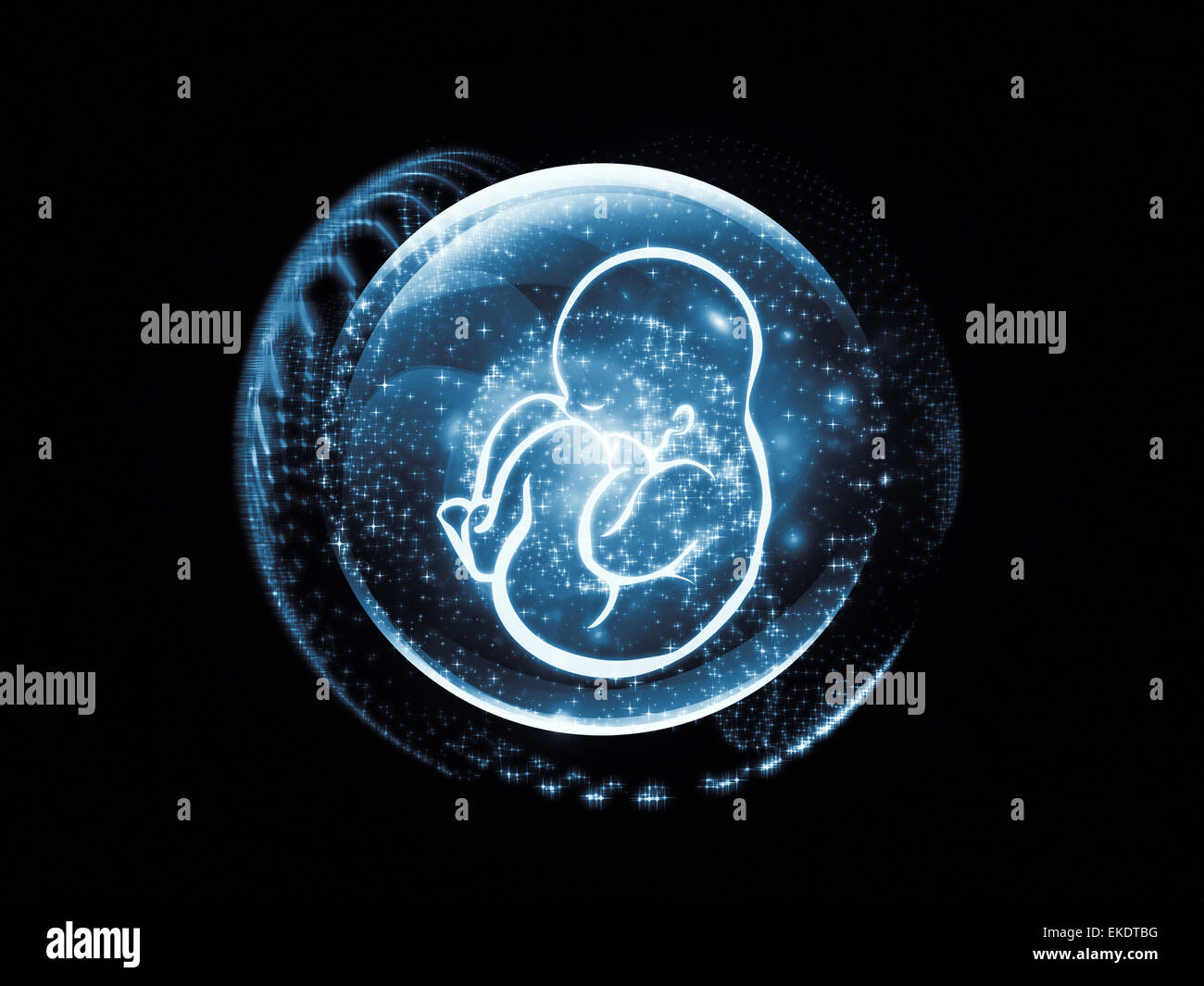 Visualization of the Fetus Stock Photo