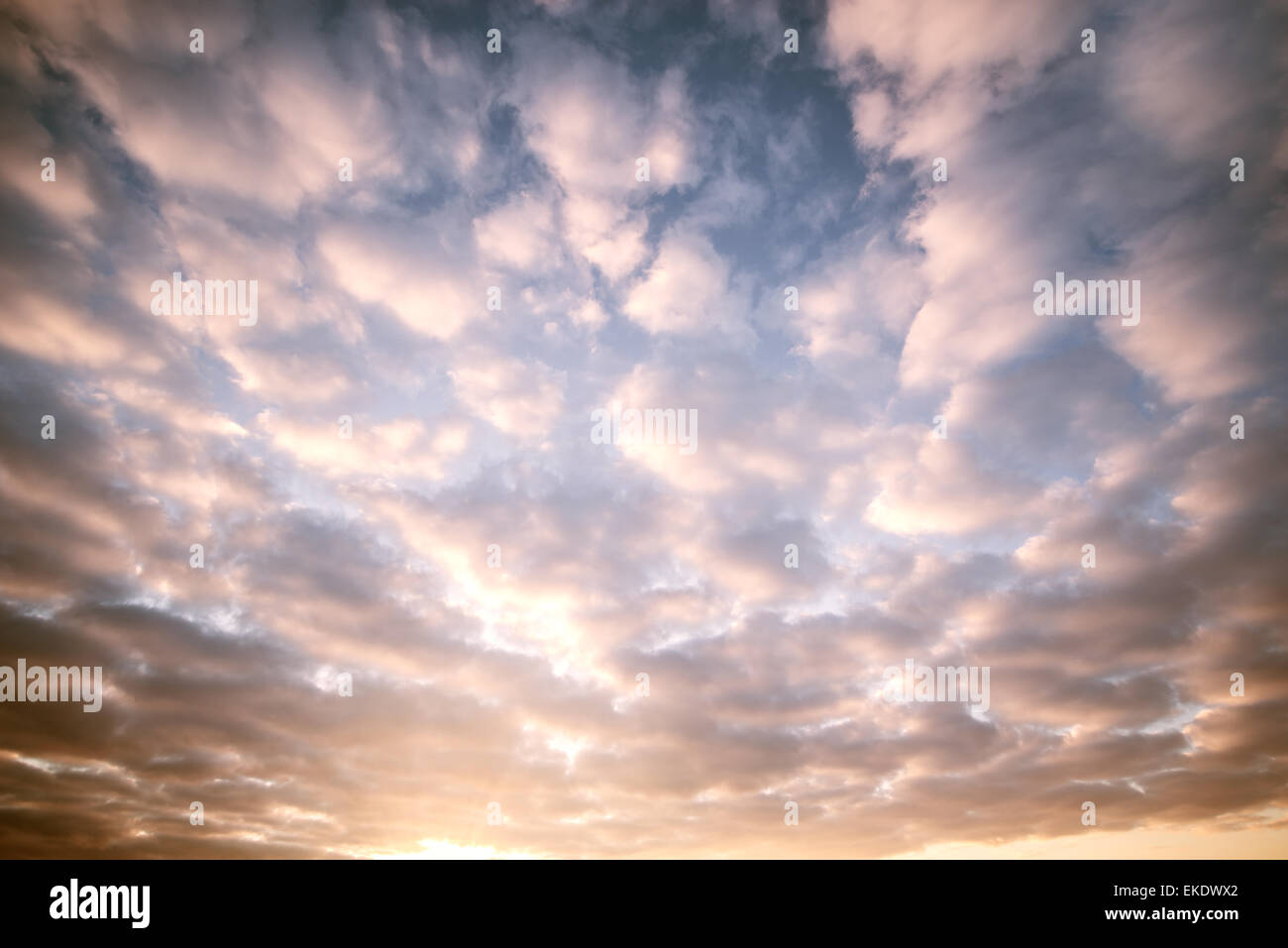 Amazing colorful clouds on the evening sunset sky Stock Photo - Alamy