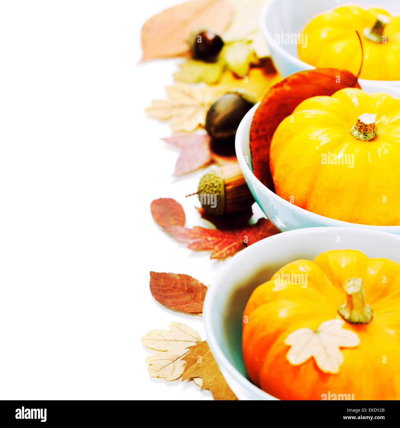 Gourd bowls hires stock photography and images Alamy