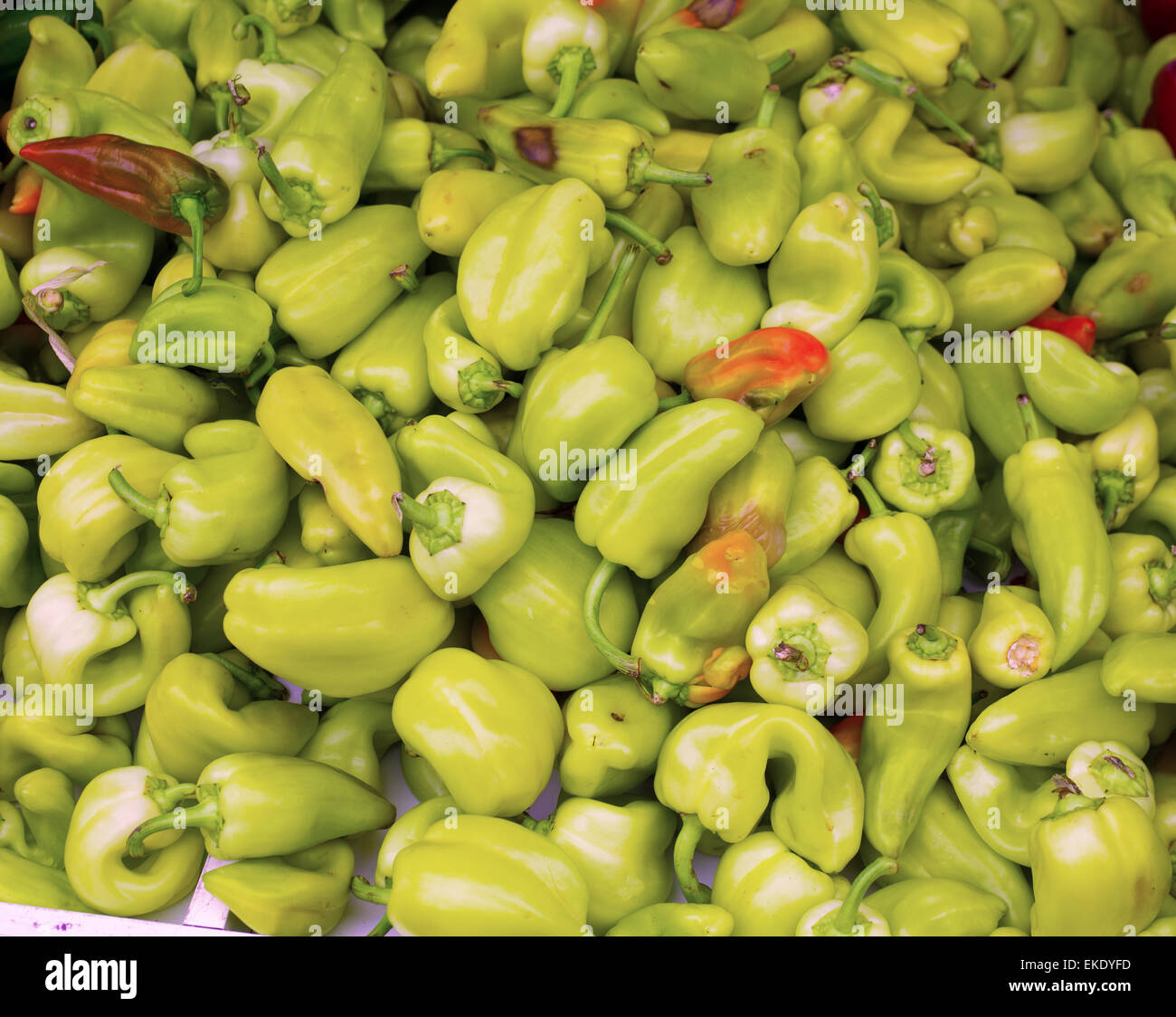 Green peppers in a market display Stock Photo - Alamy