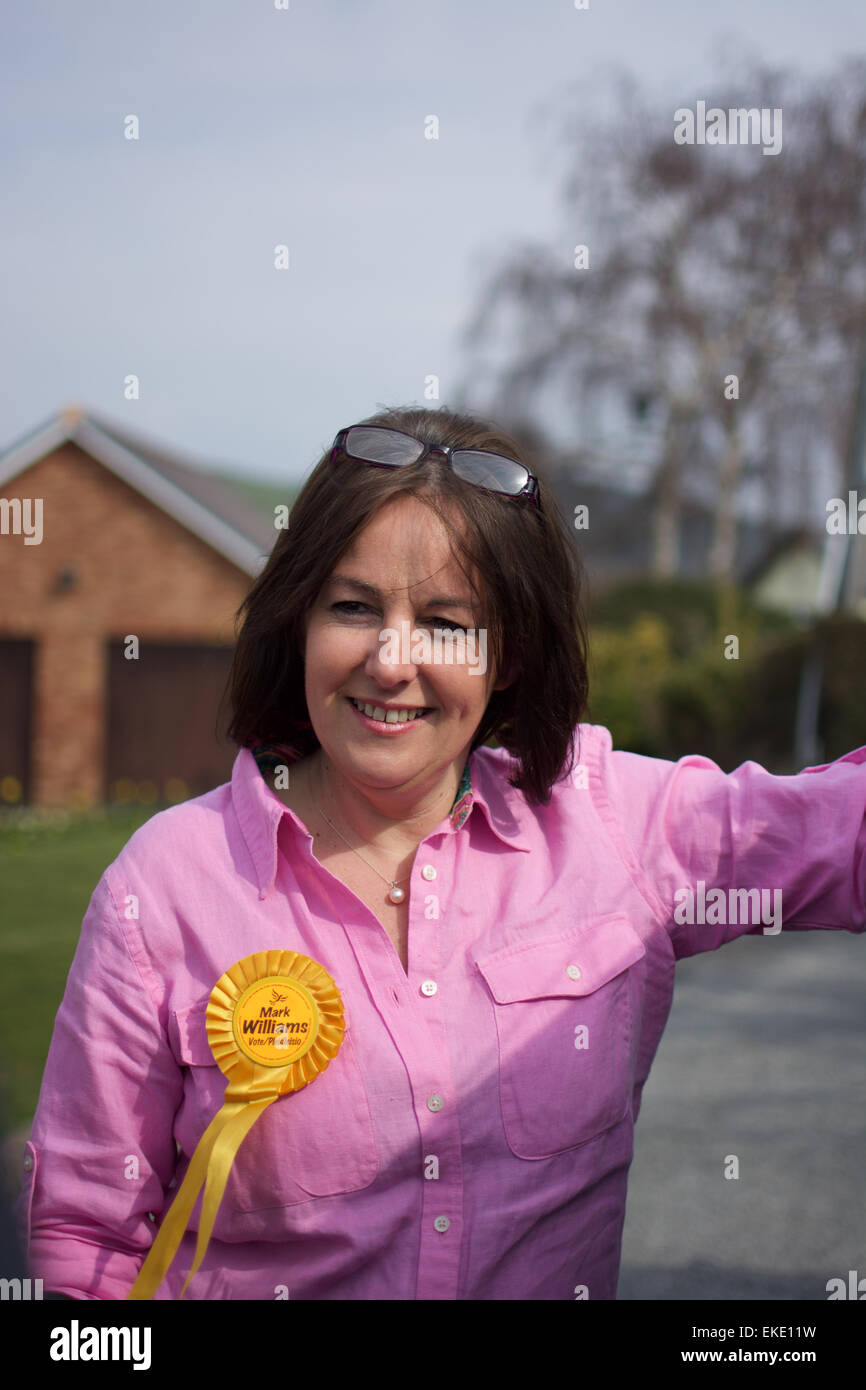 Elizabeth Evans out campaigning for Mark Williams in the General Election 2015 in Ceredigion West Wales Stock Photo