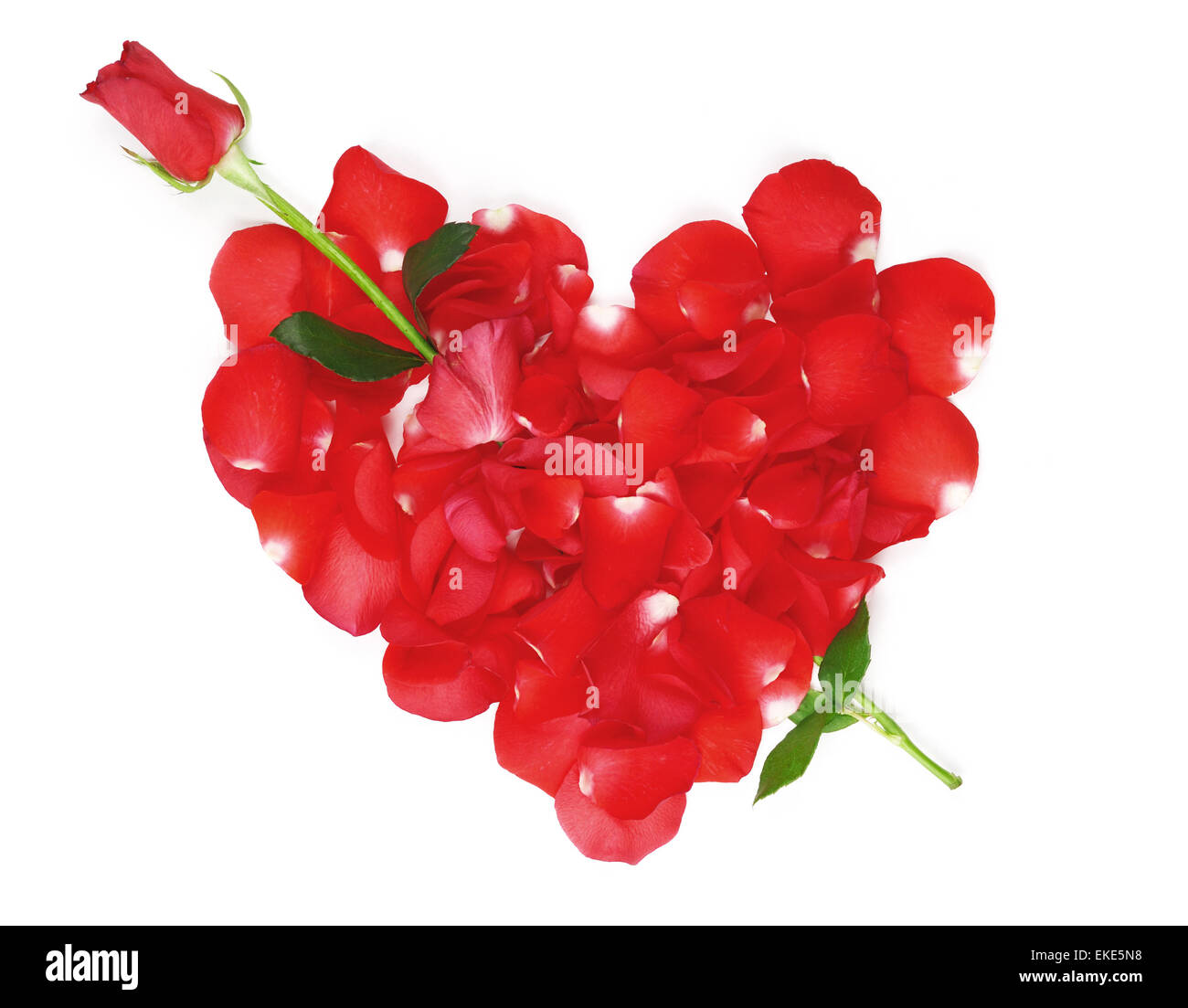 Red rose petals hi-res stock photography and images - Alamy