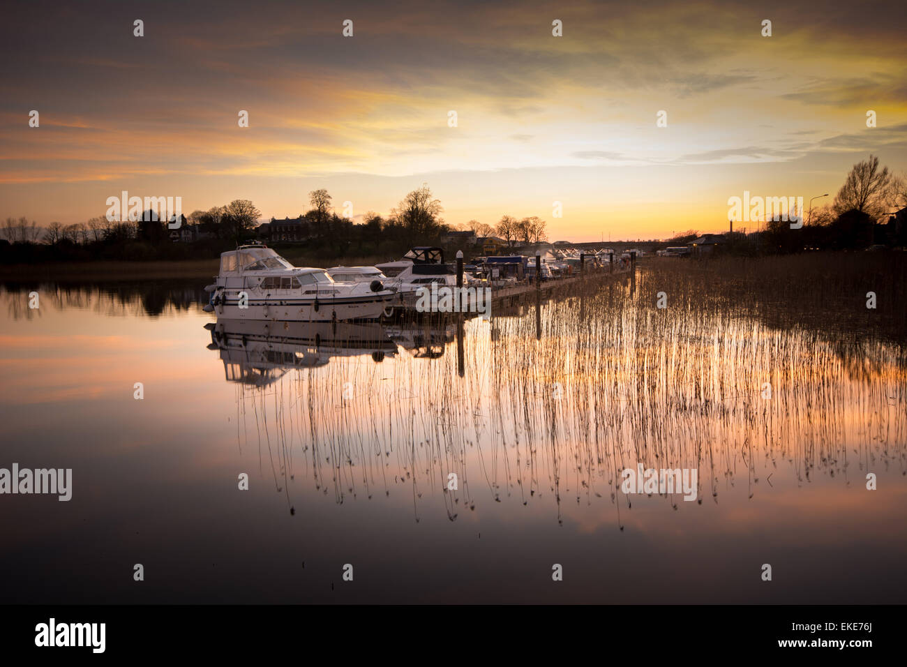 Cruise boats tied up for the night at sunset on the river Shannon at Carrick-on-Shannon in Leitrim, Ireland Stock Photo