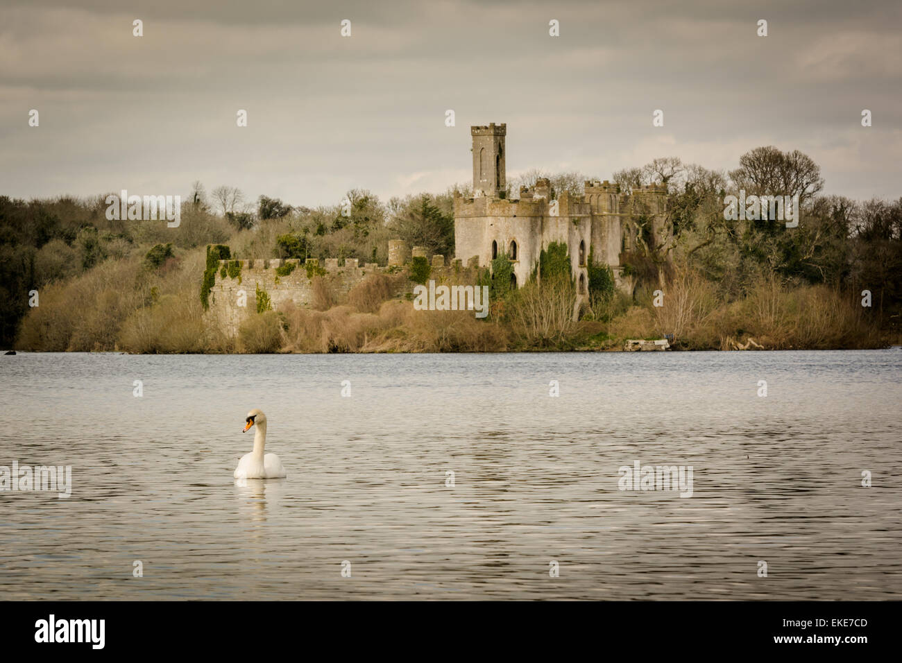 Castle Island with swan on Lough Key  near Boyle, County Roscommon, Ireland Stock Photo