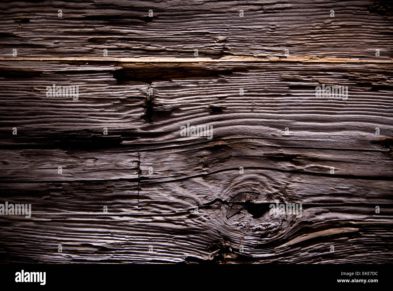 Texture of bark wood use as natural background Stock Photo - Alamy