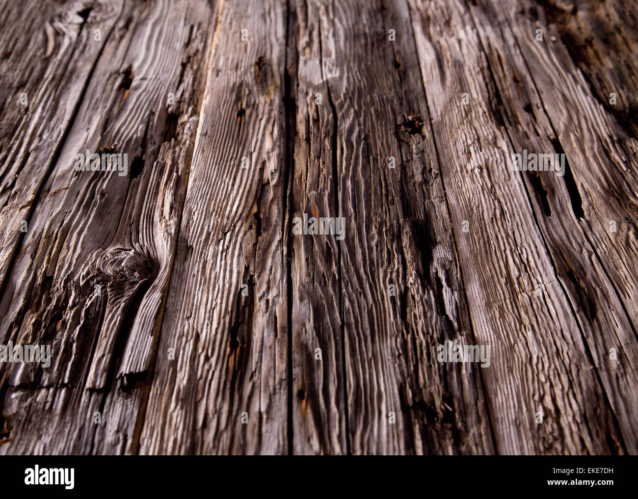 Texture of bark wood use as natural background Stock Photo Alamy