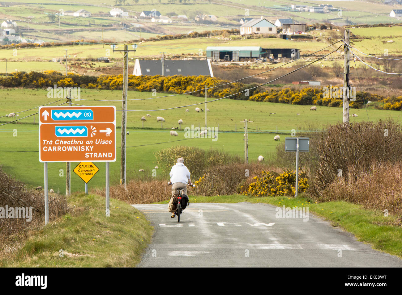 Tourist on Bicycle cylces past Wild Atlantic Way signposts on Road on the West Coast of Ireland Stock Photo