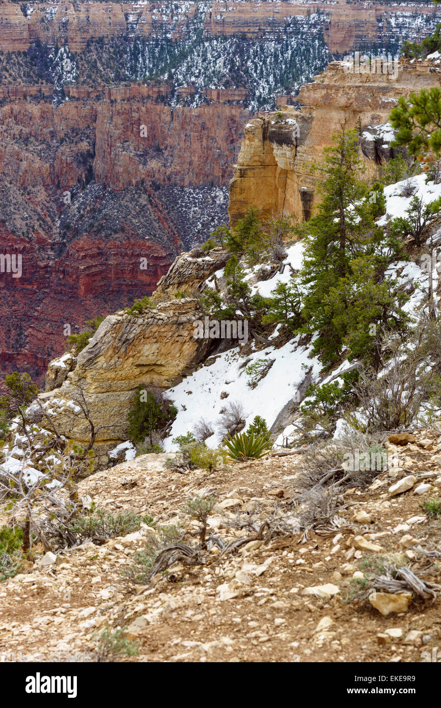 Last footholds of winter in the Grand Canyon Stock Photo
