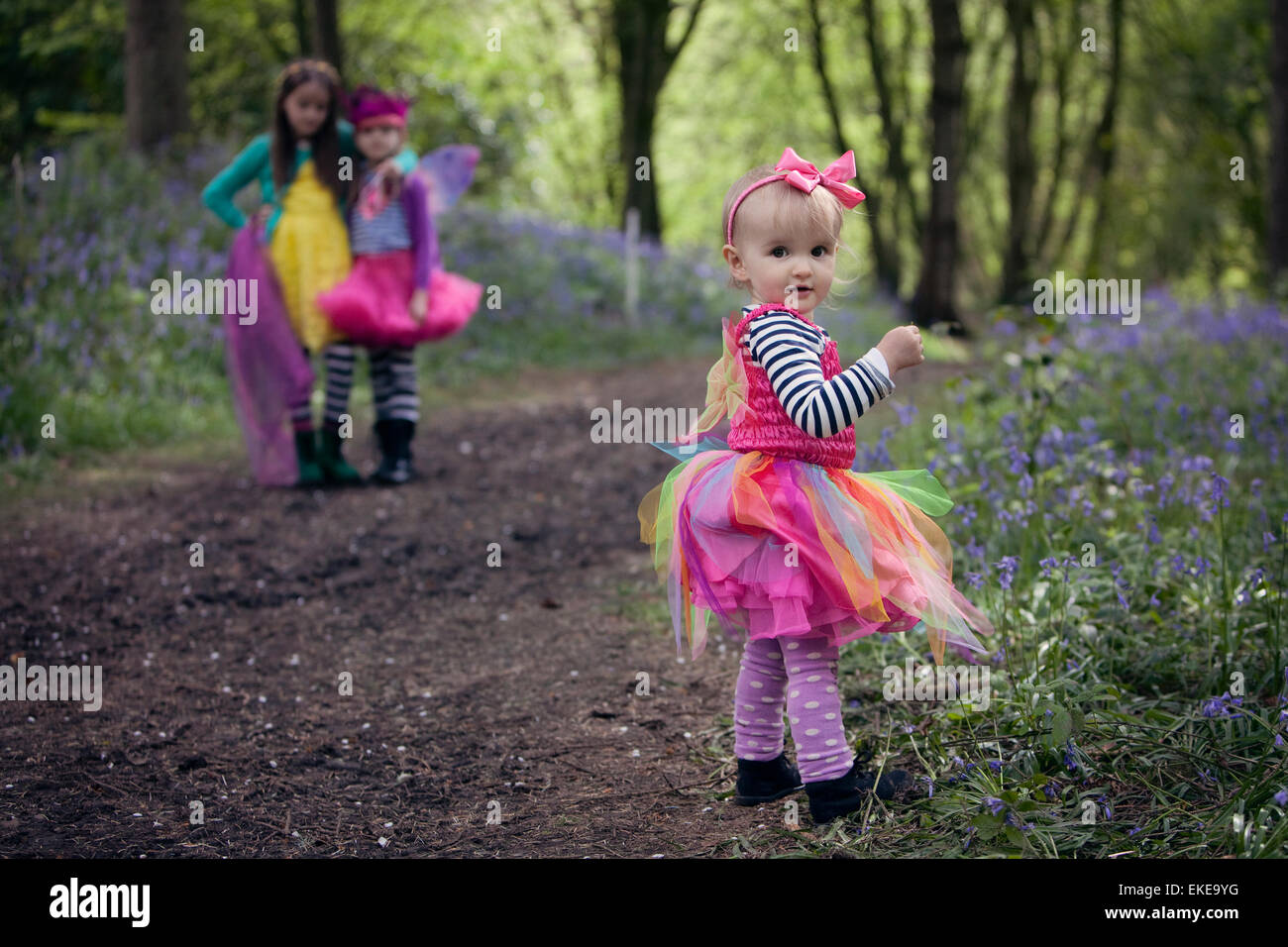 Three children on a woodland path surrounded by bluebells, in the springtime. Stock Photo