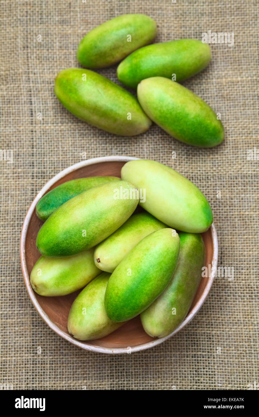 Latin American fruit called banana passionfruit (lat. Passiflora