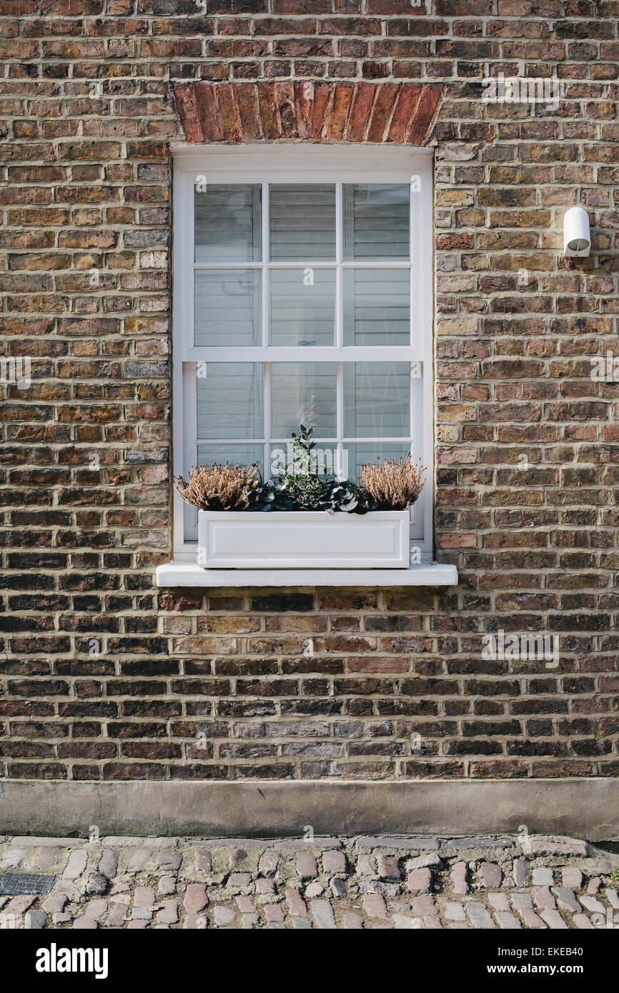 Typical English window, London Stock Photo Alamy