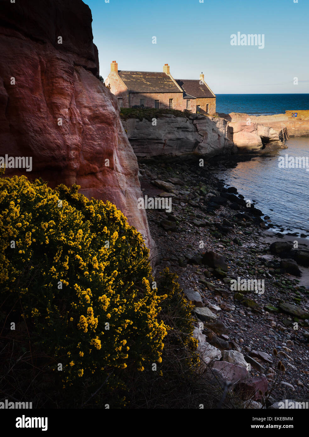 The small Scottish fishing harbour at Cove on the east coast of