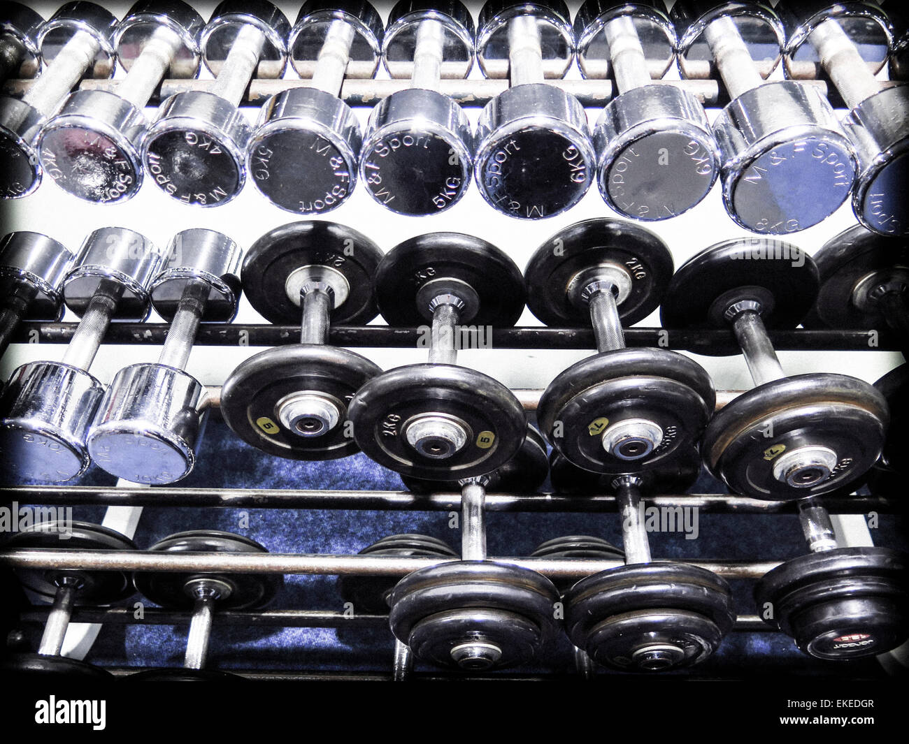 Barbell weights on rack in gym Stock Photo Alamy