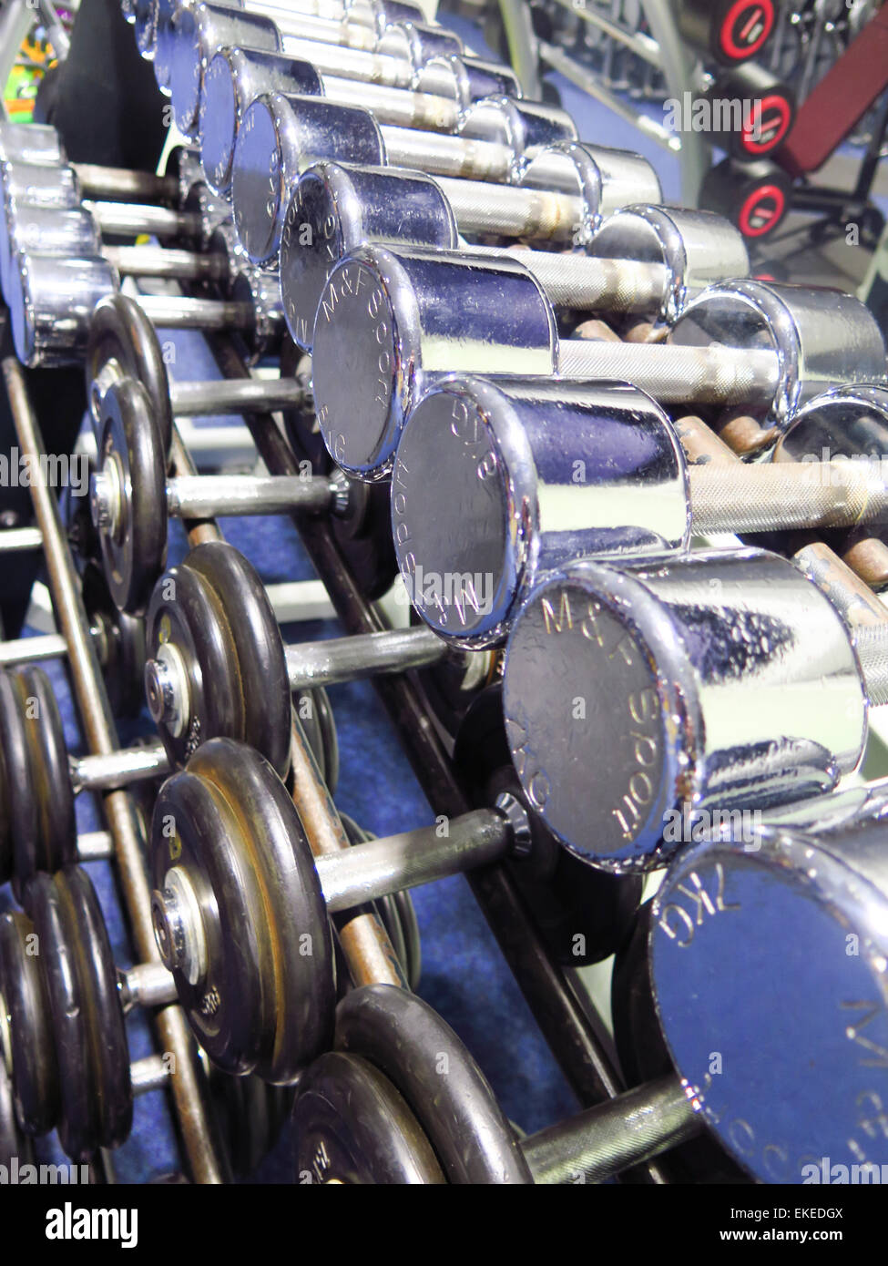 Barbell weights on rack in gym Stock Photo Alamy