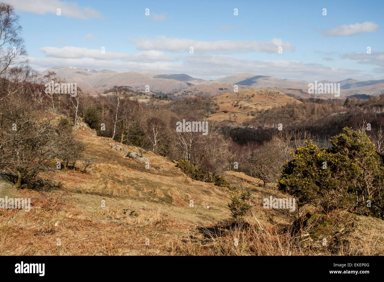 gorgeous view over Little Langdale, Cumbria, UK Stock Photo