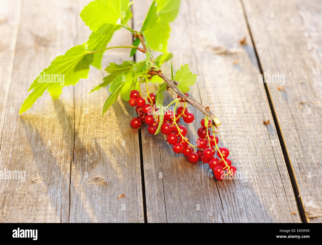 Redcurrant on wooden table Stock Photo
