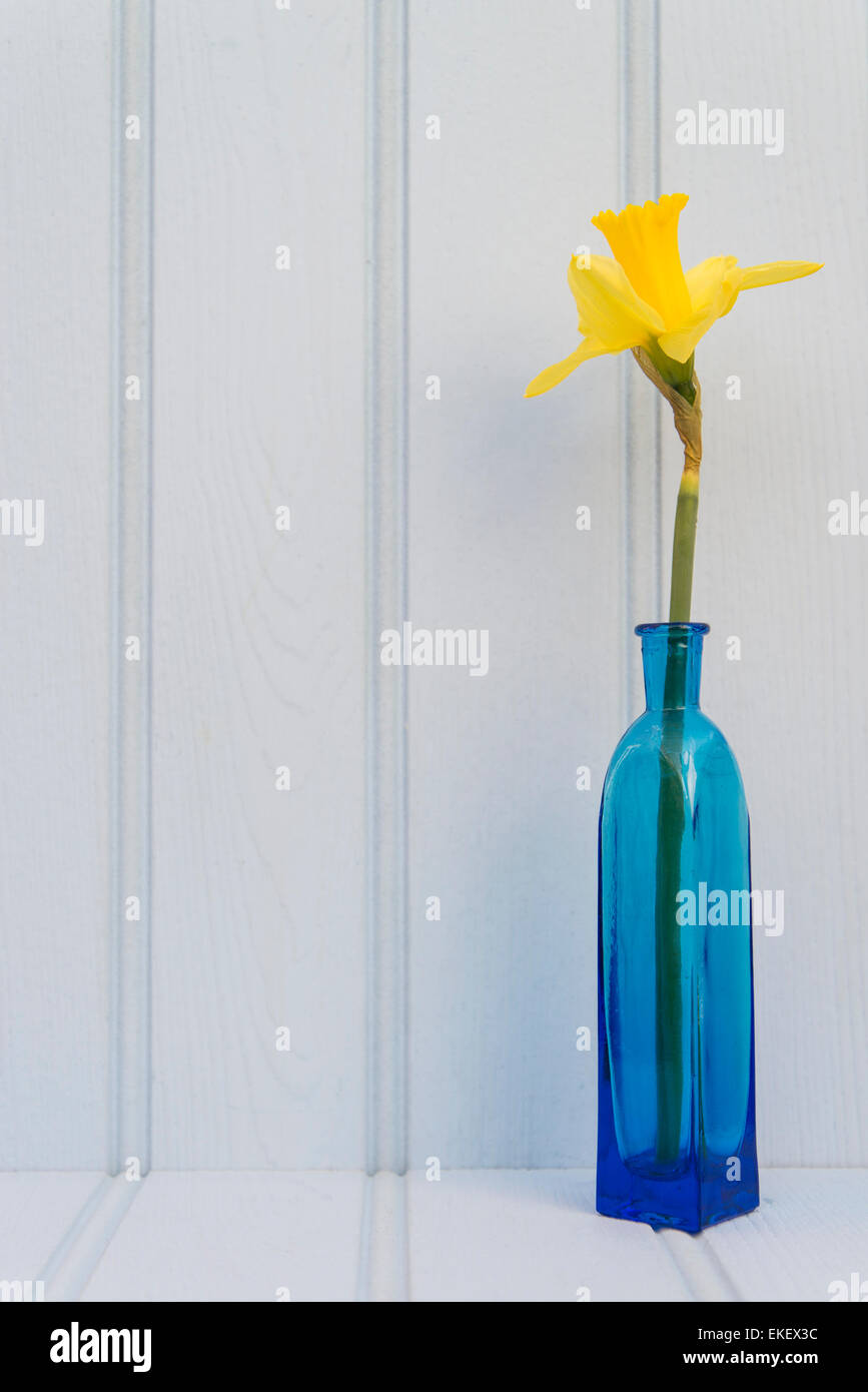 Beautiful Spring flower still life with wooden background Stock Photo