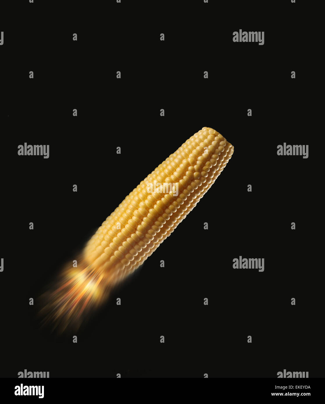 Bio Fuel Corn Cob Stock Photo Alamy