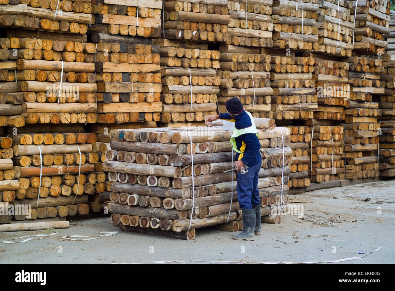 Wood factory worker Stock Photo Alamy