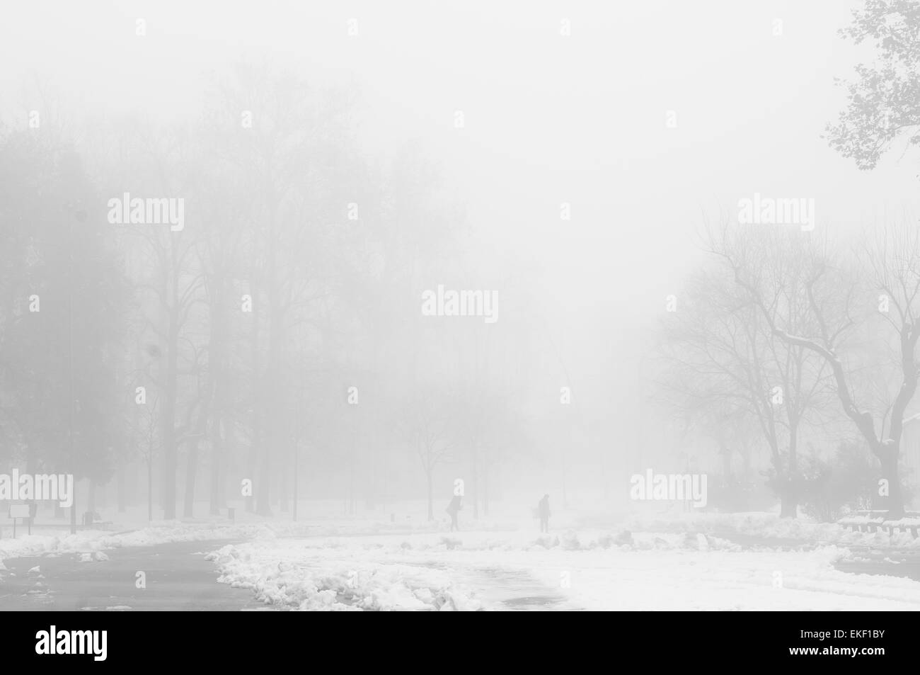 Dark foggy street view Black and White Stock Photos & Images - Alamy