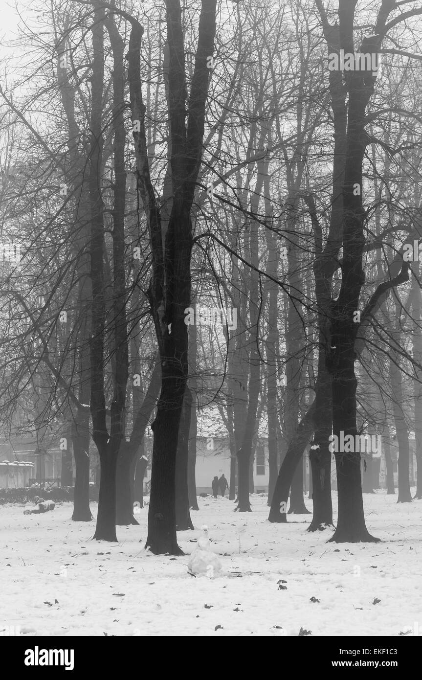 Dark foggy street view Black and White Stock Photos & Images - Alamy