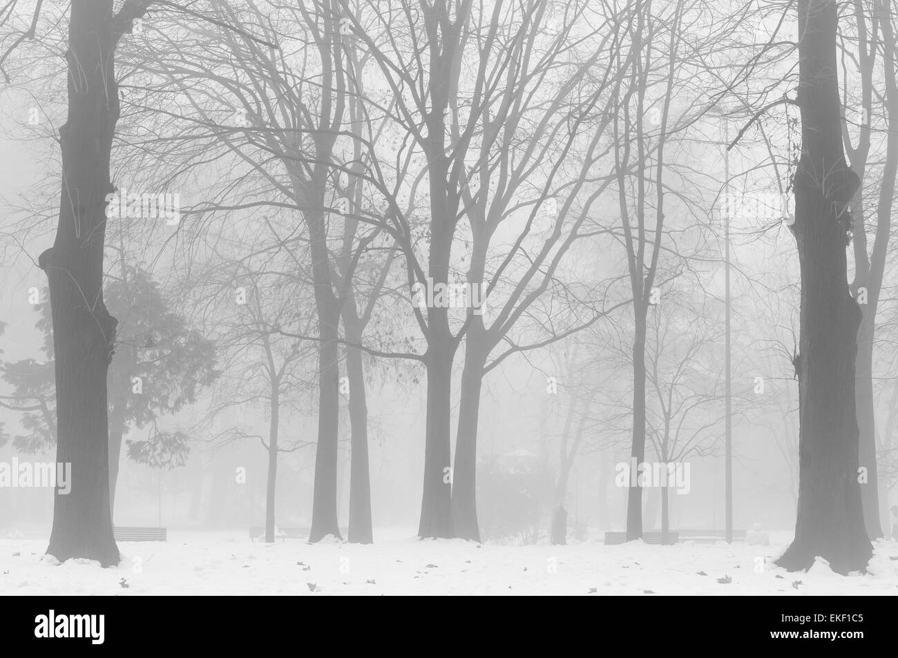 Dark foggy street view Black and White Stock Photos & Images - Alamy