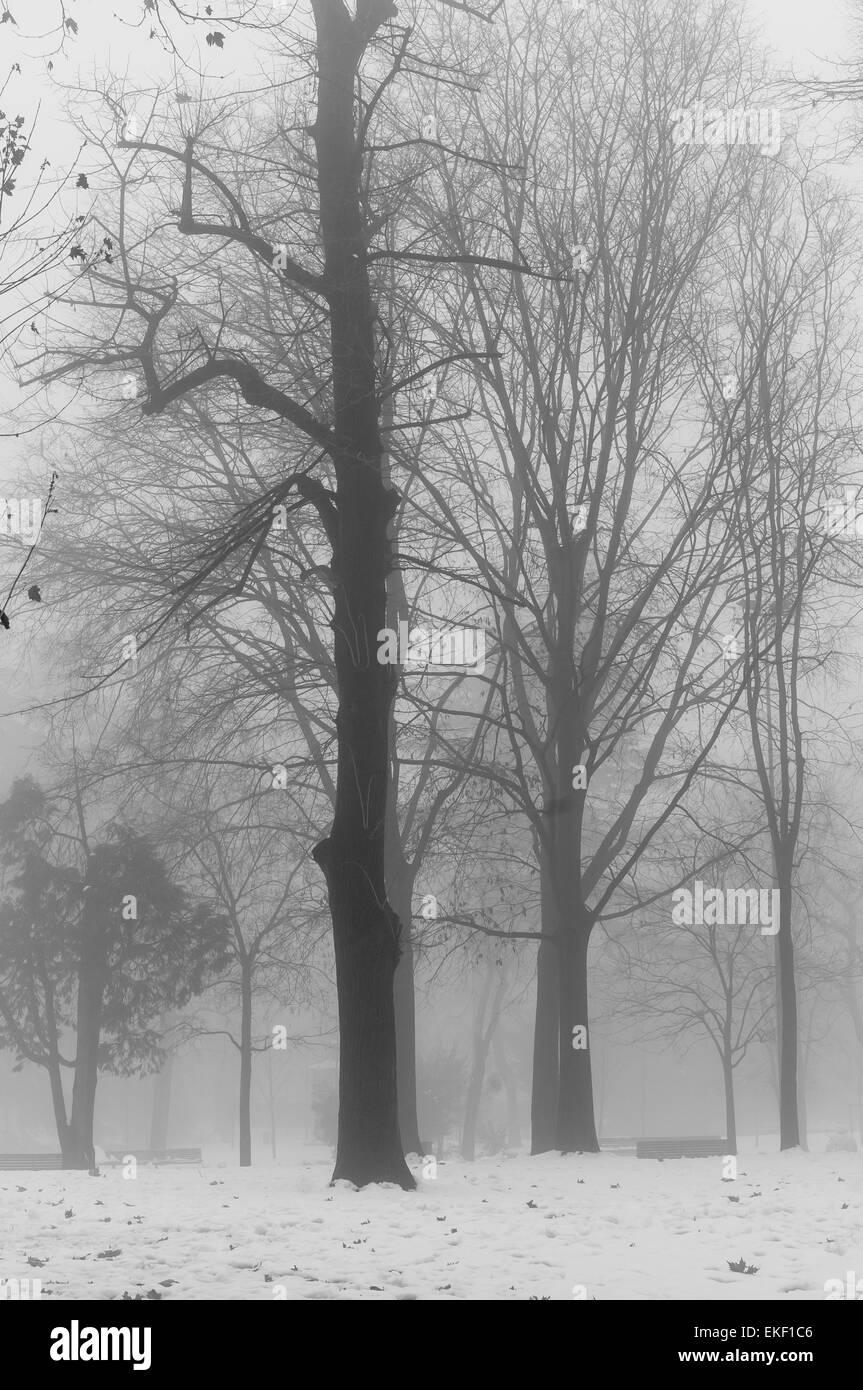 Dark foggy street view Black and White Stock Photos & Images - Alamy