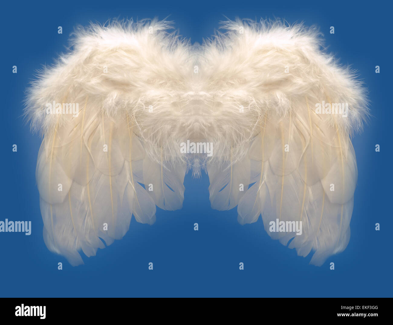 On angel wings hires stock photography and images Alamy