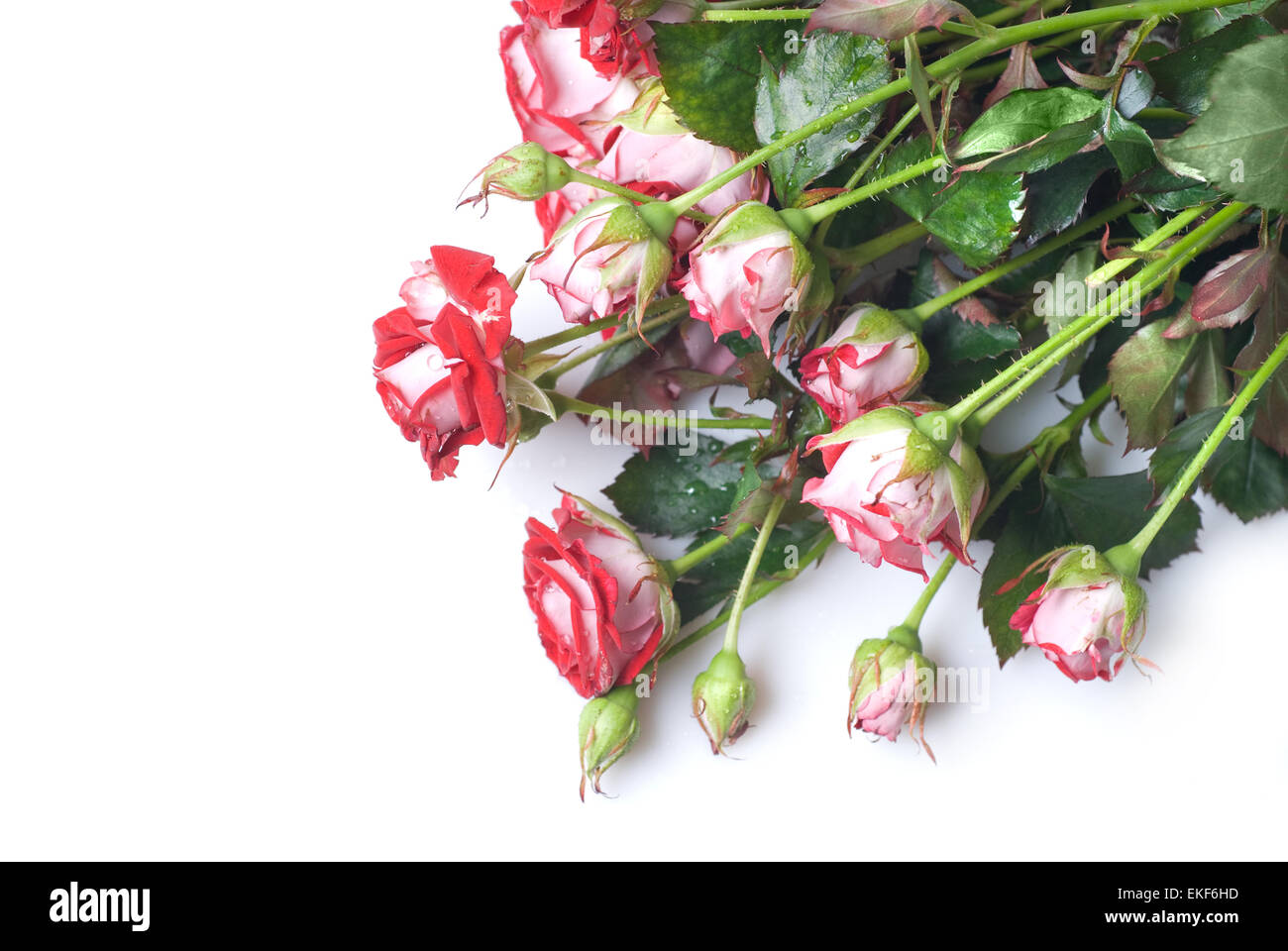 red rose bouquet isolated on white Stock Photo - Alamy