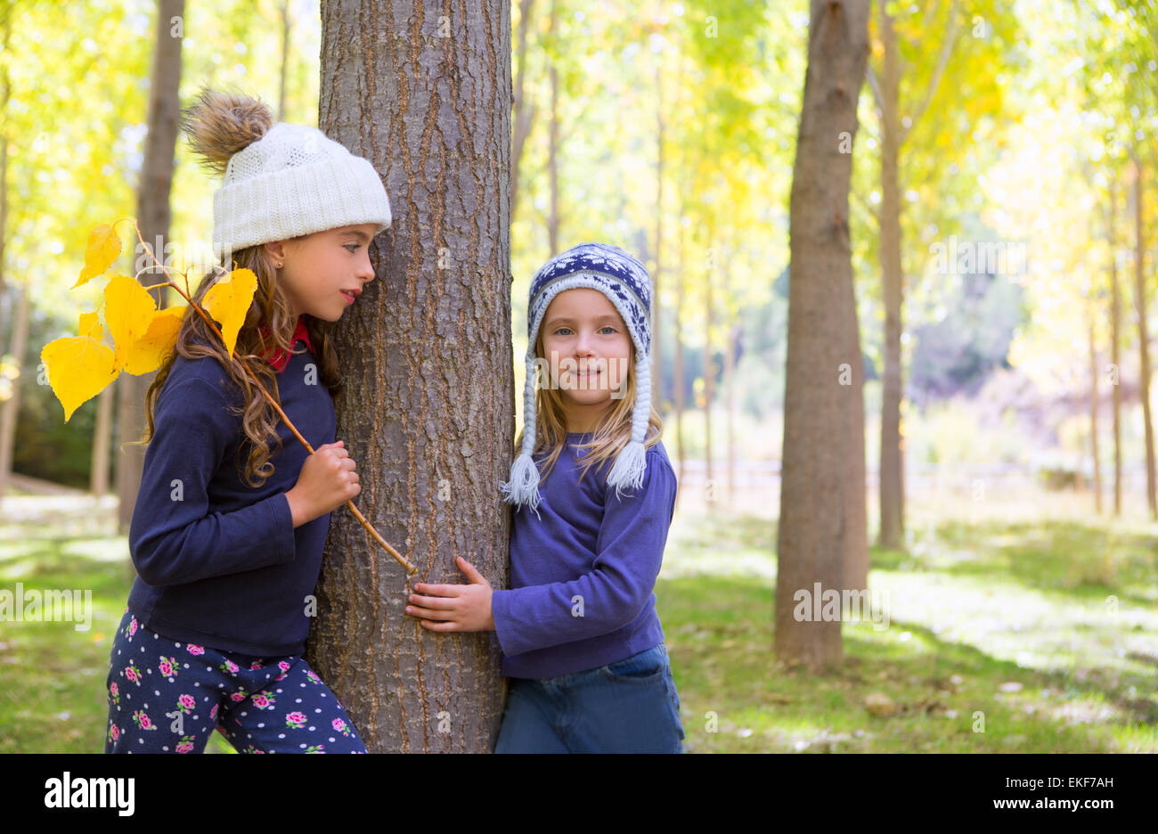 Autumn sister kid girls playing in forest trunk outdoor Stock Photo - Alamy