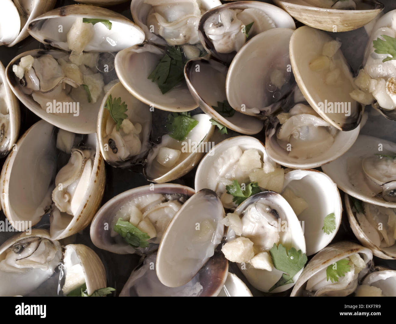 white clams in white wine sauce Stock Photo Alamy