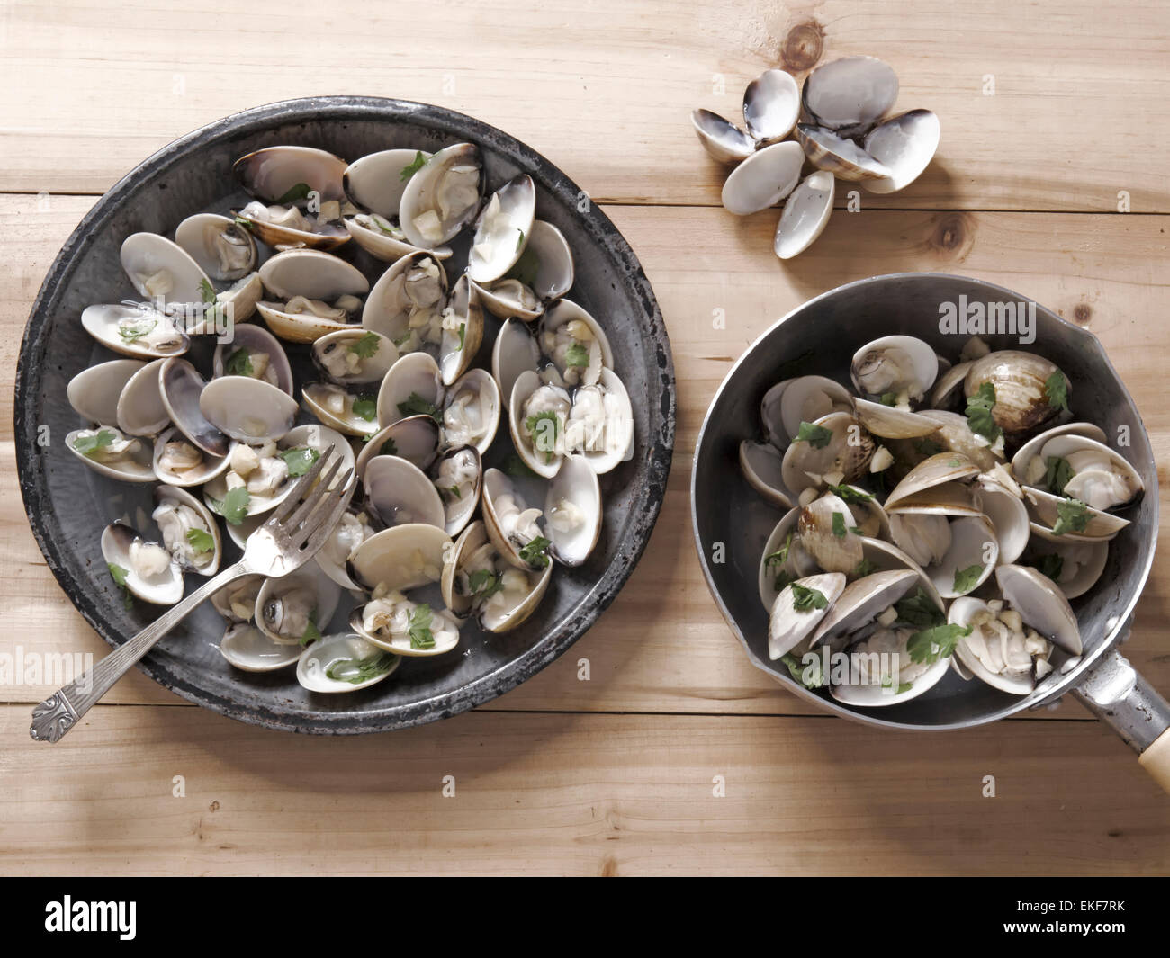 white clams in white wine sauce Stock Photo Alamy