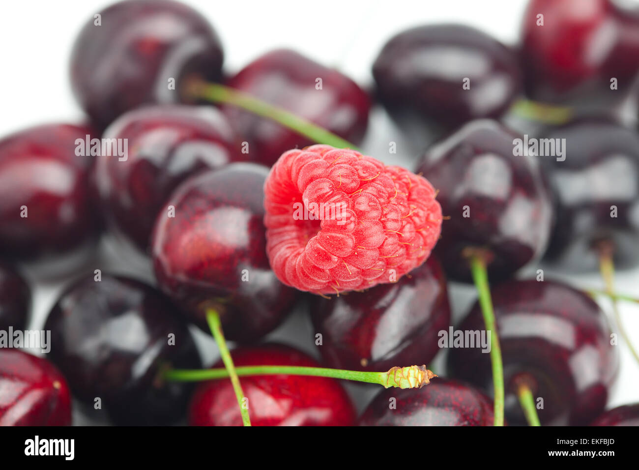 Cherry Vs Raspberry Size raspberries on a background of cherry Stock Photo - Alamy