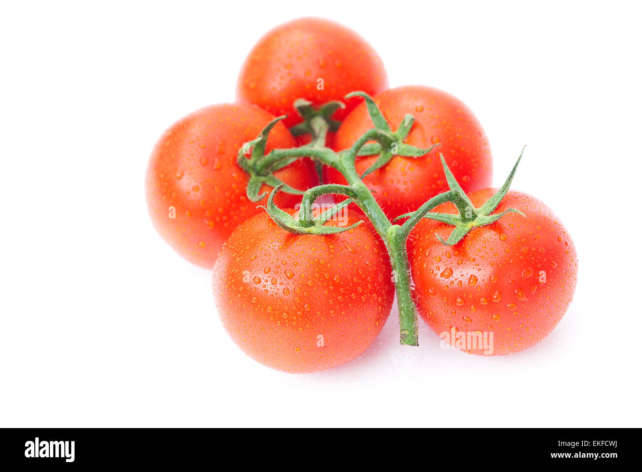 tomato with water drops isolated on white Stock Photo - Alamy