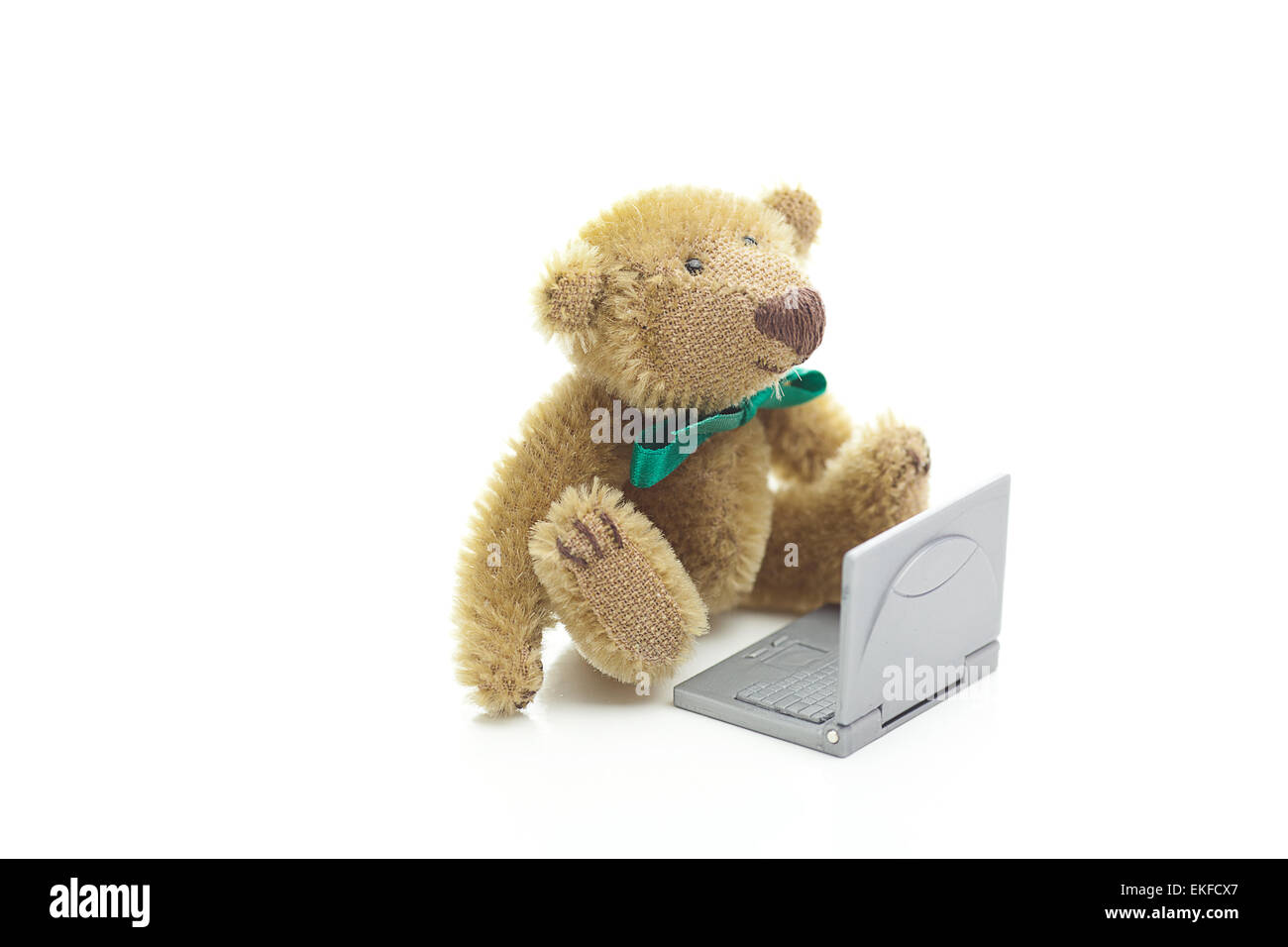 teddy bear and miniature laptop isolated on white Stock Photo Alamy
